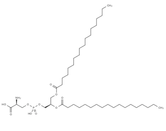 Phosphatidylserine CAS# 51446-62-9